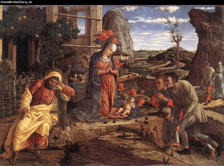 MANTEGNA, Andrea The Adoration of the Shepherds sf